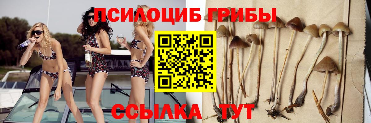 COCAIN  Вход с VPN  Новоалтайск  NBOMe  МЕФ  МАРИХУАНА  Мефедрон   Гашиш 