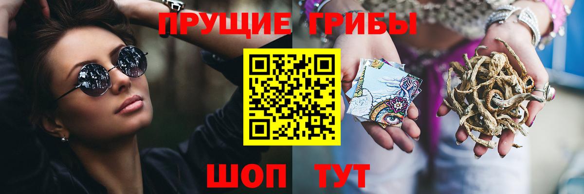 Псилоцибиновые грибы Psilocybe  Вход с VPN  Новоалтайск 